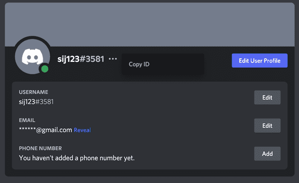 Discord copy id